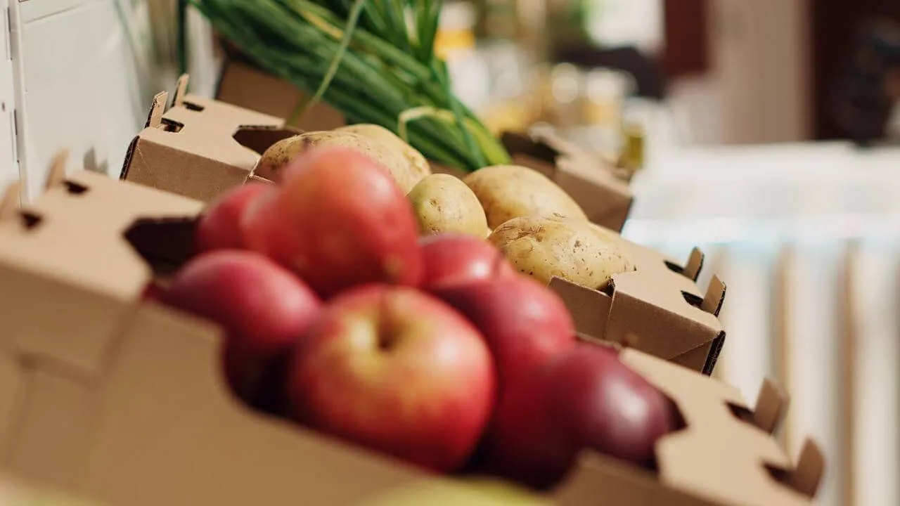 Грузовые перевозки продуктов питания