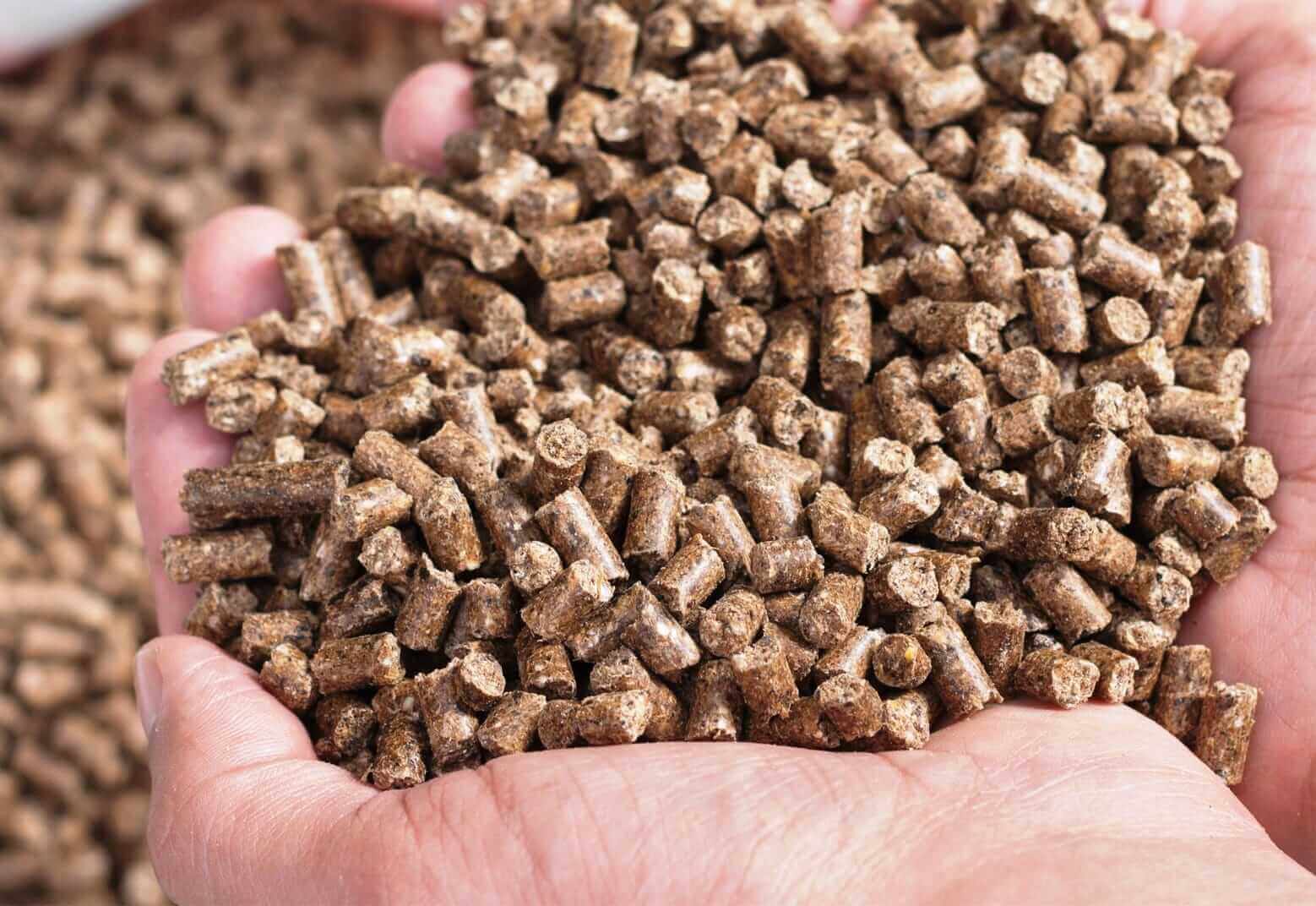 Комбикорм, перевозка сыпучих грузов